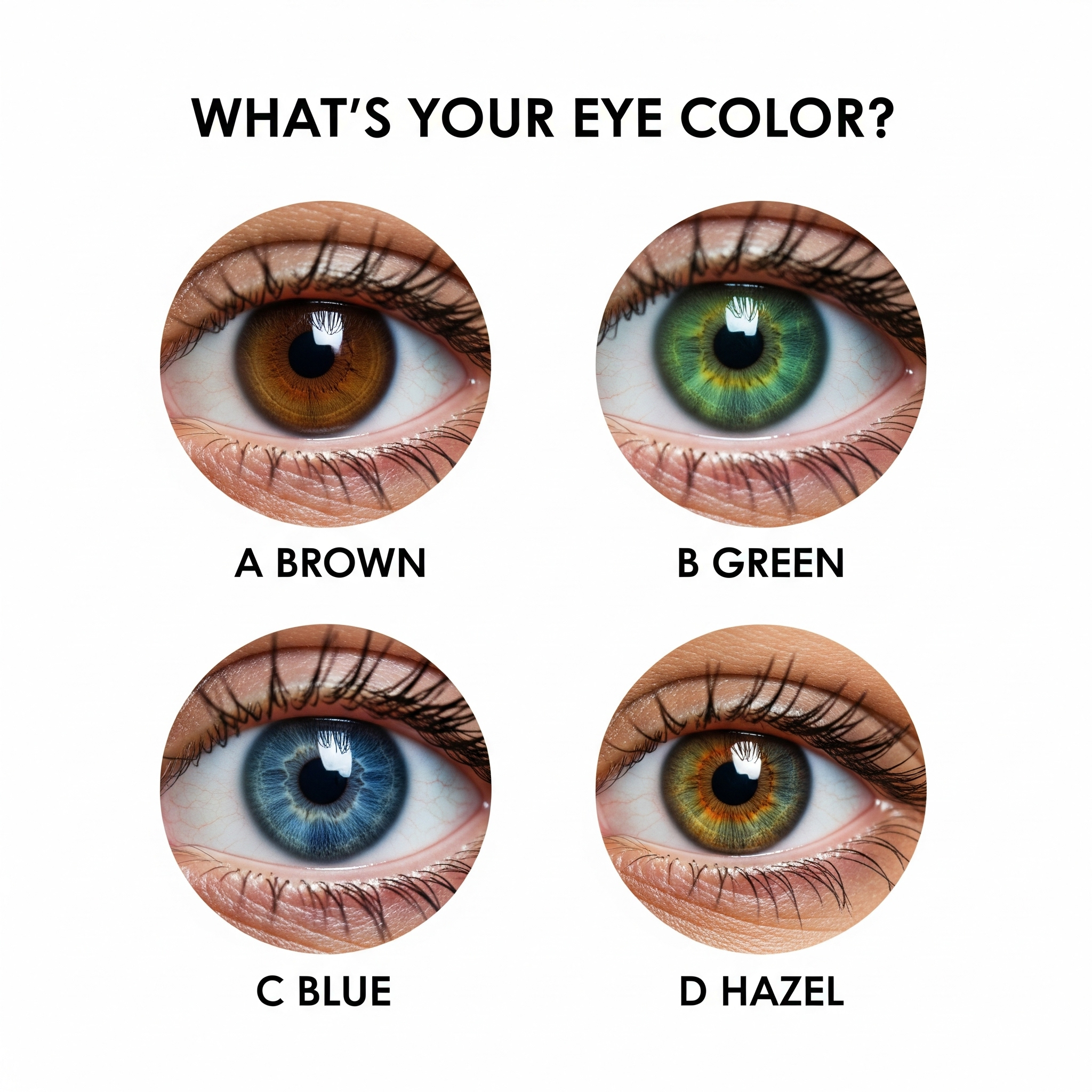 Eye Color